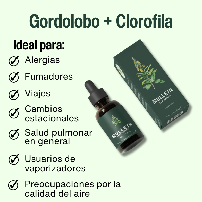 Extracto de Gordolobo y Clorofila